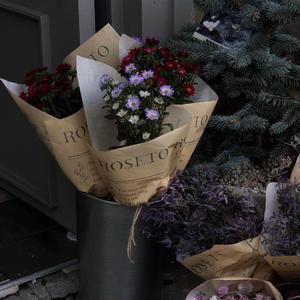 邻居的丰满人妻HD学生
