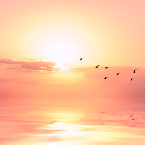 邻居的丰满人妻HD学生
